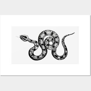 Vintage Snake Sketch Posters and Art